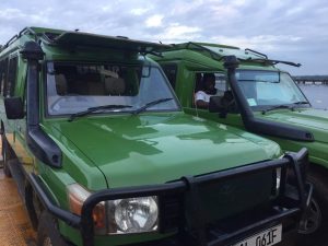 Gorilla Trekking Bwindi Impenetrable National Park