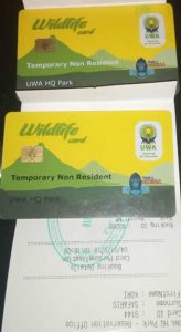 Gorilla Permit Bwindi Impenetrable National Park