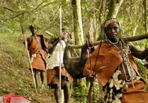 Gorilla Trekking Sectors Bwindi Impenetrable Forest National Park