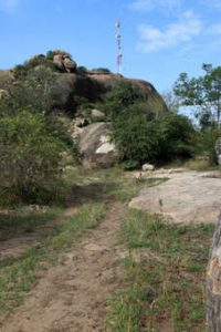 Musanze Cave Safari Rwanda