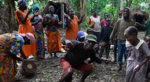 Gorilla Trekking Buhoma Sector-Bwindi Impenetrable National Park