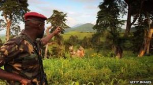 Virunga National Park Re-opening