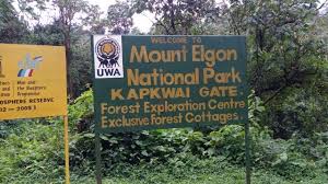 4 days Mount Elgon Hike Safari-Uganda